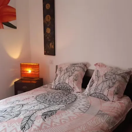 Daire Maison Croisette Sainte-Maxime