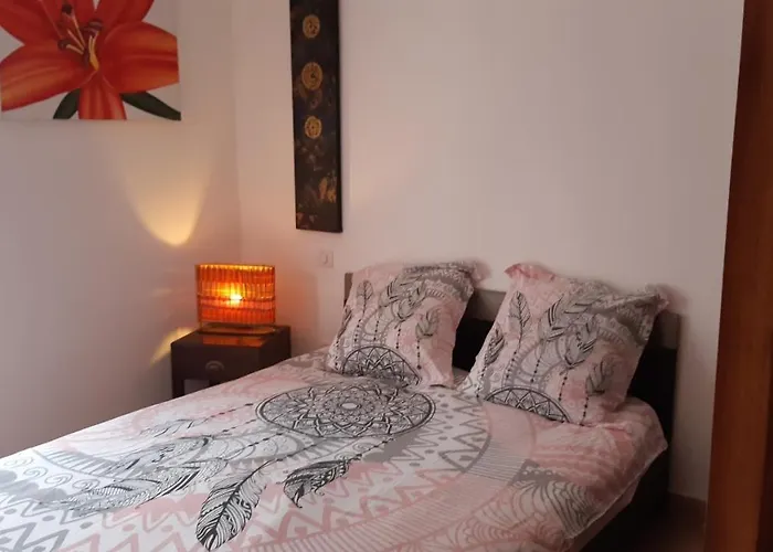 Daire Maison Croisette Sainte-Maxime